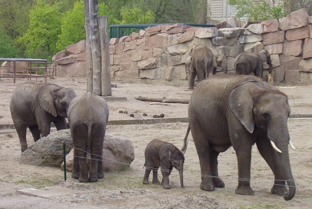 Tierpark Berlin